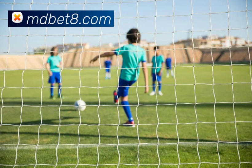 九游会官网服务体系